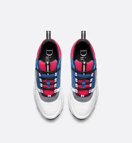 Sneaker B22 Dior