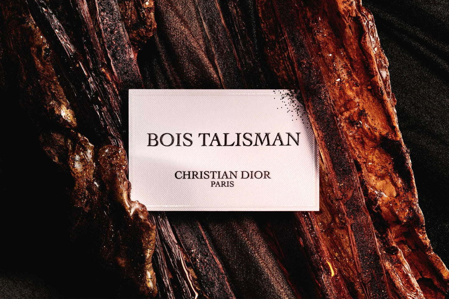 Parfum Bois Talisman 100 ml Dior