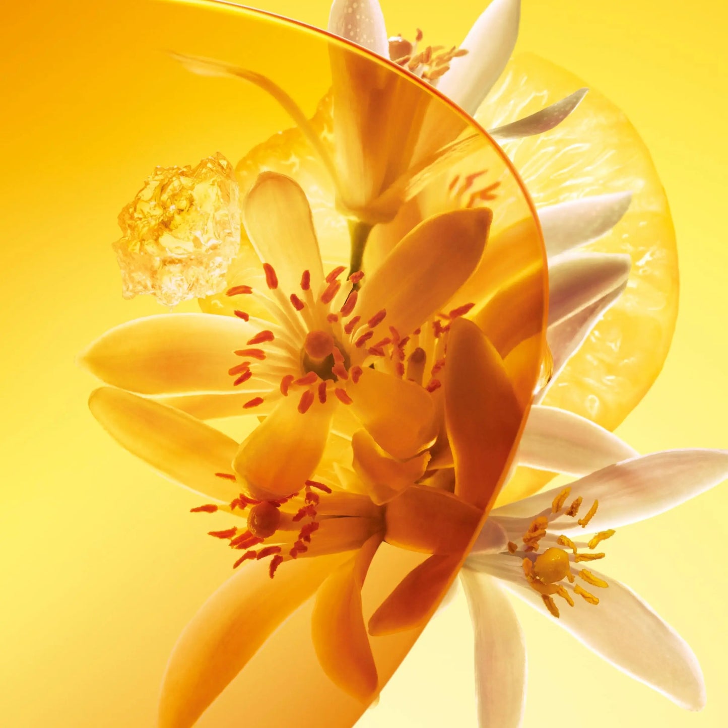 Parfum Sun Song Louis vuitton