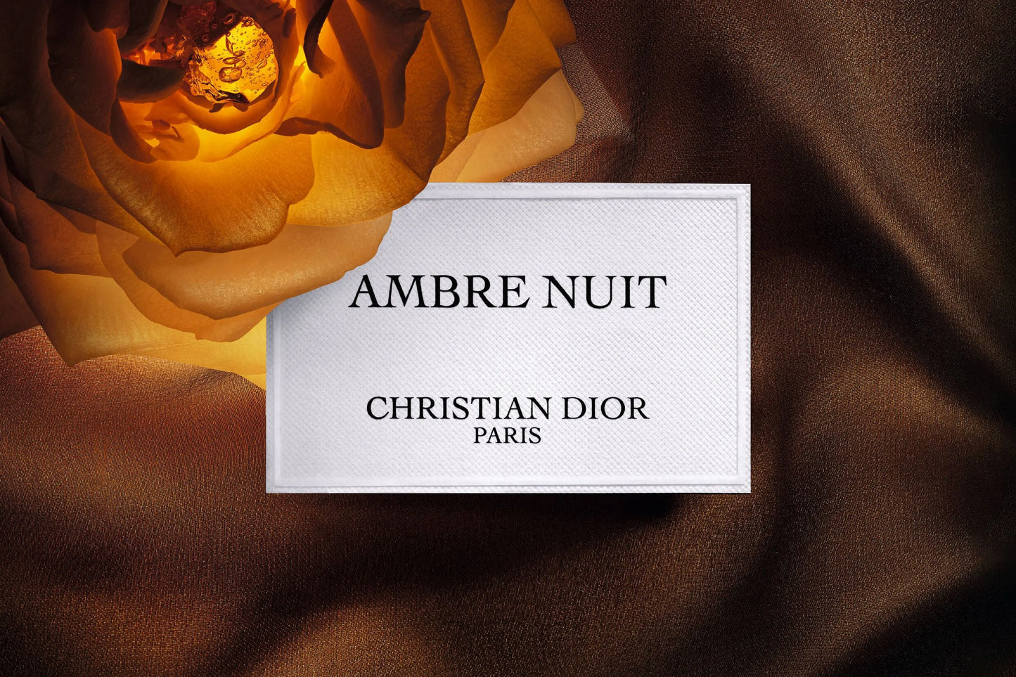 Parfum Ambre Nuit 100 ml Dior